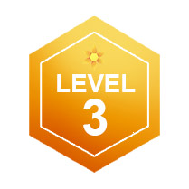 Level 3