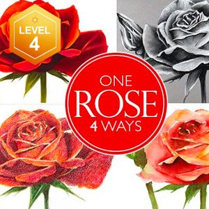 One Rose Four Ways