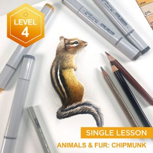 Animals and Fur: Chipmunk