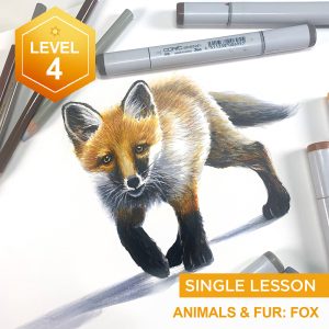 Animals and Fur: Fox