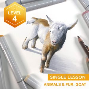 Animals and Fur: Goat