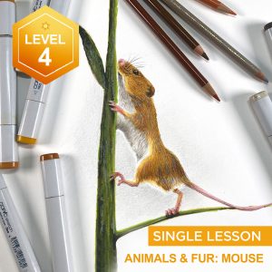 Animals and Fur: Mouse