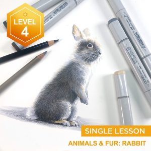 Animals and Fur: Rabbit