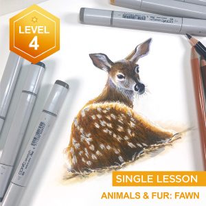 Animals and Fur: Fawn