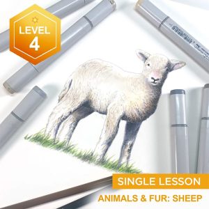 Animals and Fur: Lamb