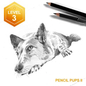 Pencil Pups II