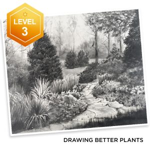 Drawing Better Plants