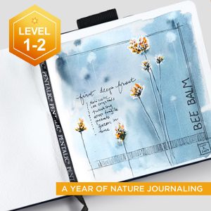 A Year of Nature Journaling
