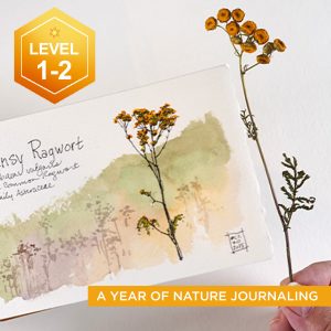 Nature Journaling: Autumn (class begins Oct 1 2026)