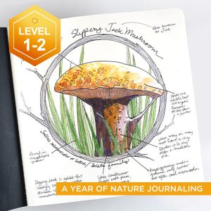 Nature Journaling: Spring  (class begins April 1 2026)