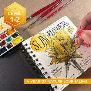 Nature Journaling: Summer  (class begins July 1 2026)