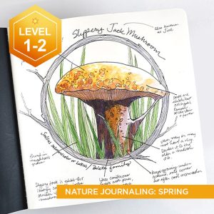 A Year of Nature Journaling